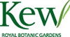 Kew Foundation